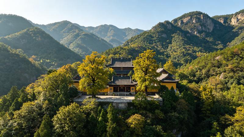 阜平夜场演出联票与单票怎么取舍